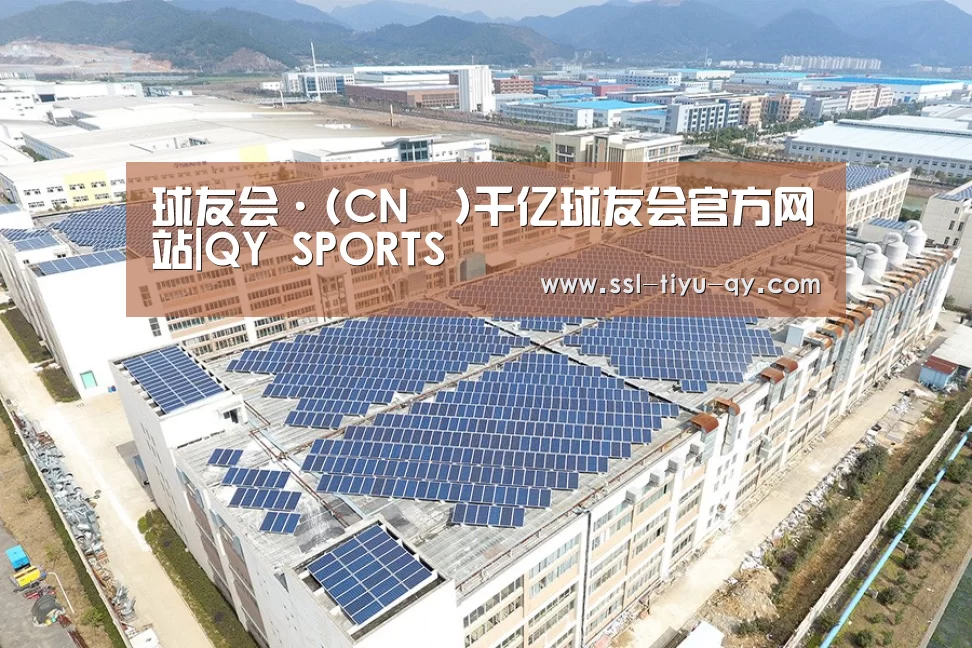 案例展示二