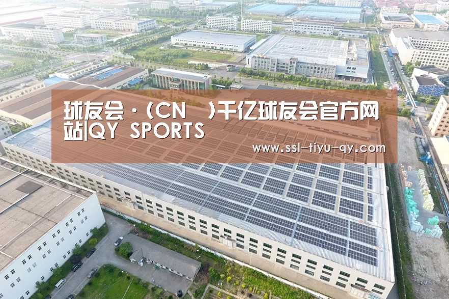 案例展示二