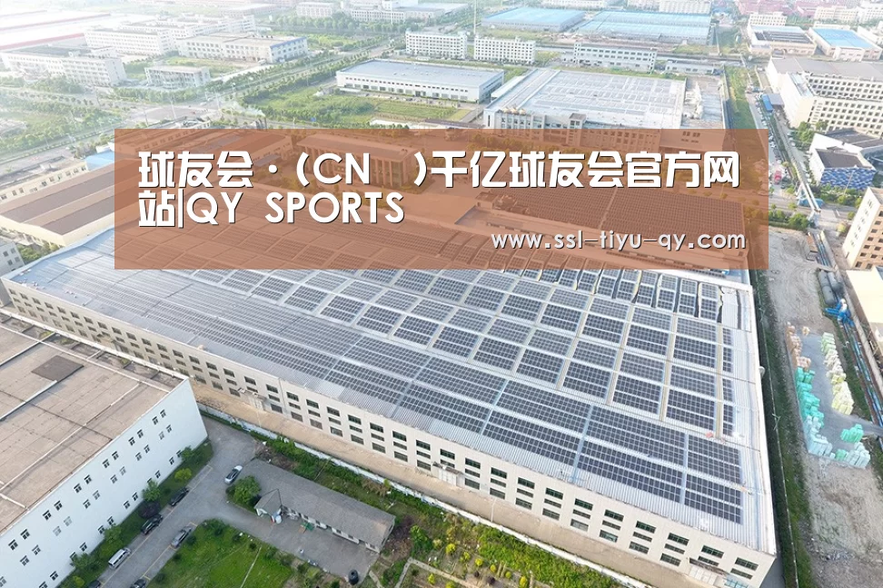 案例展示四