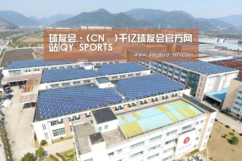 案例展示三